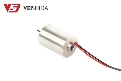 Motor elèctric de caixa de canvis magnètic DC 24V 300 RPM